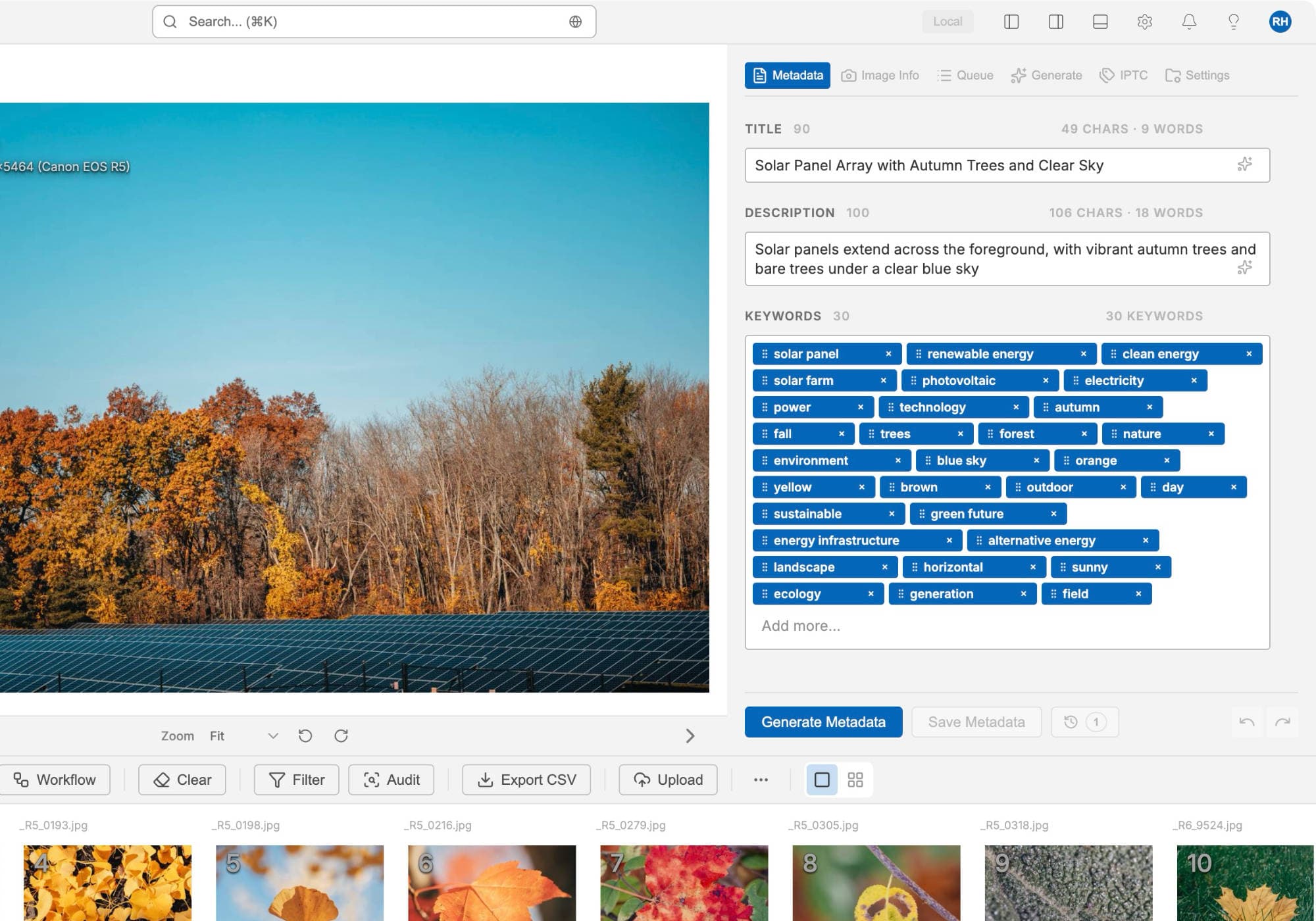 Batch review & editing view