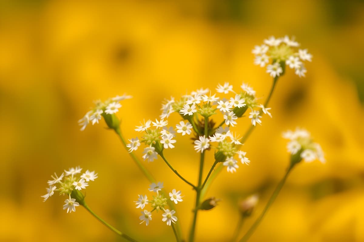 AI Generated Stock Image 9